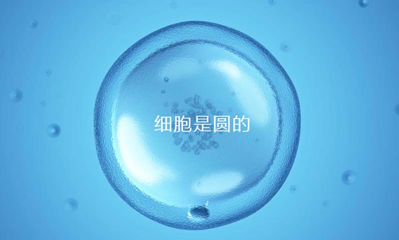 中至生物：大道至簡·品牌百萬級LOGO升級引爆品牌氣質(zhì)！