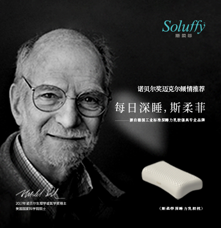 斯柔菲品牌全案服務