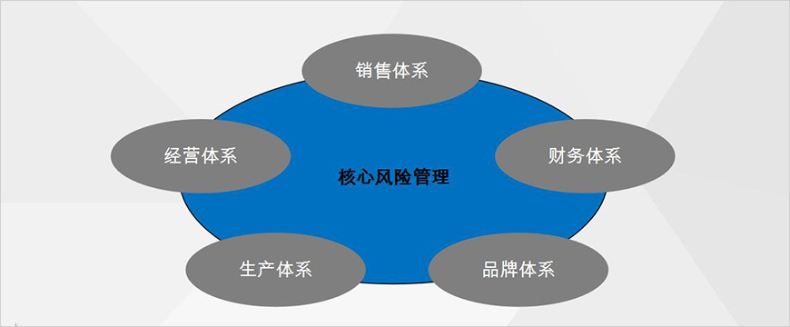 核心風(fēng)險管理
